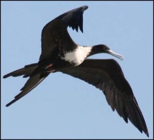 natural-reserve-cabo-blanco