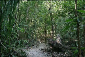 Cabo Blanco Nature