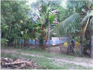 Paquera Real Estate Property for sale 450 meters