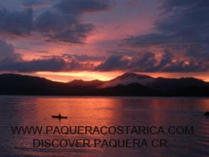 Bioluminescent Kayak Tour paquera Costa rica