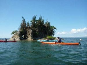 Kayak tours
