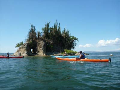 Kayak tours
