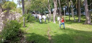 Horse Back Adventure Gulf of Nicoya