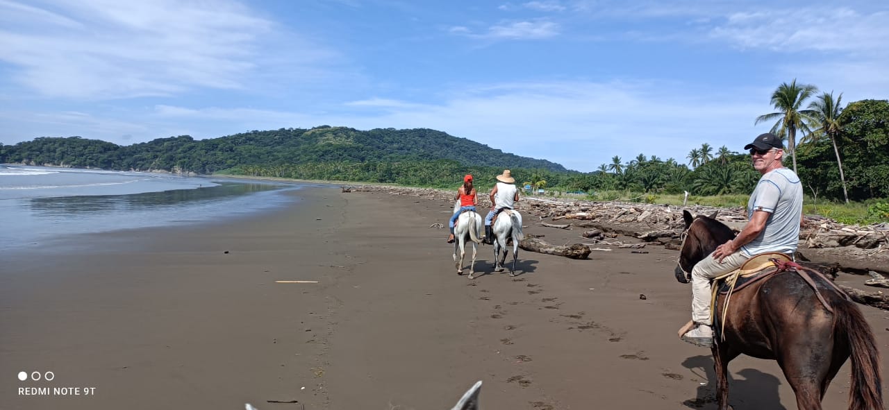 Paquera Horse Back Riding Tour