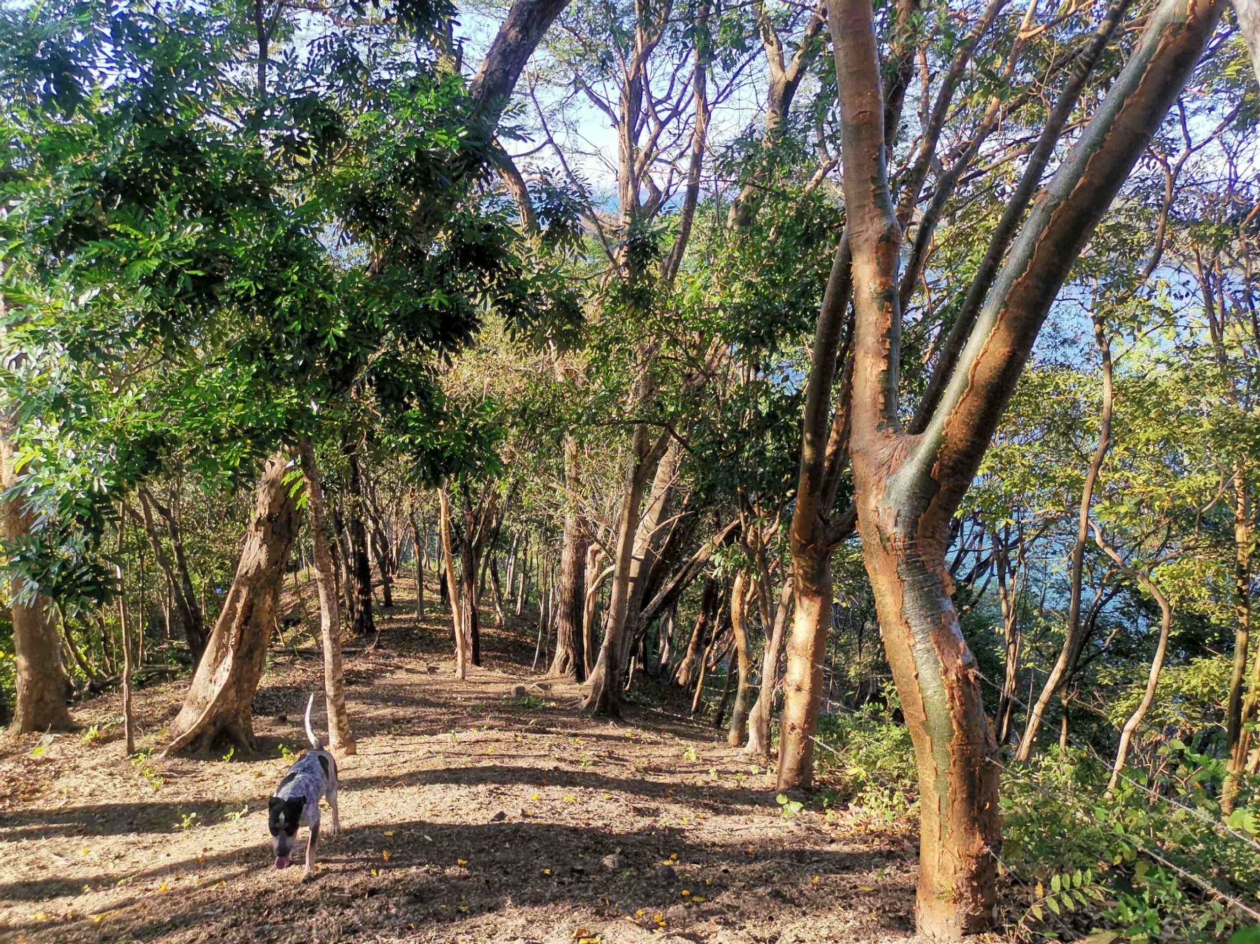 Amazing view just on the ferry