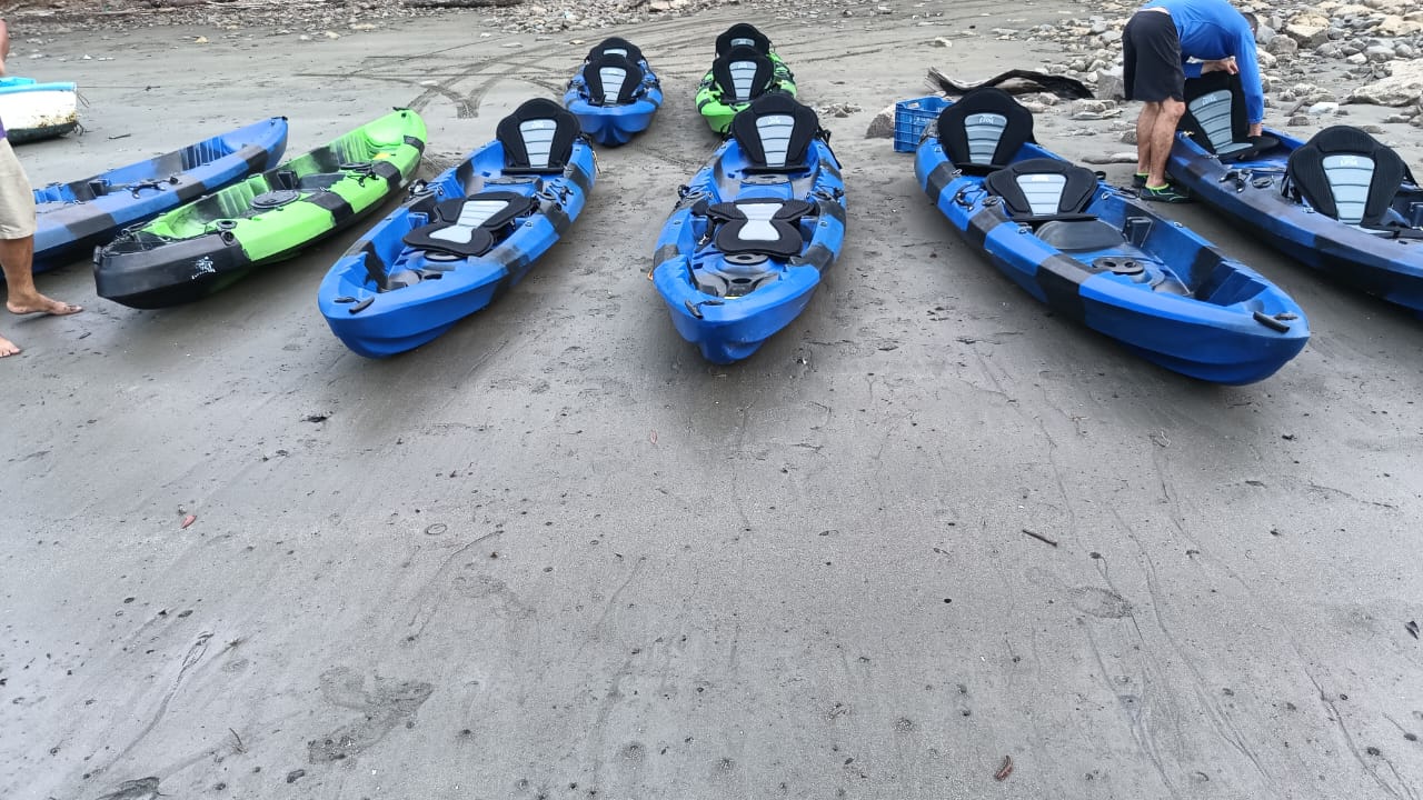 Kayak Bioluminescence